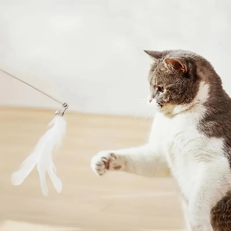 Feathered Cat Toy Accessory with Durable Rod and Suction Cup Base, Available in Realistic and Artificial Designs, Battery-Free Operation for Small Dog Entertainment