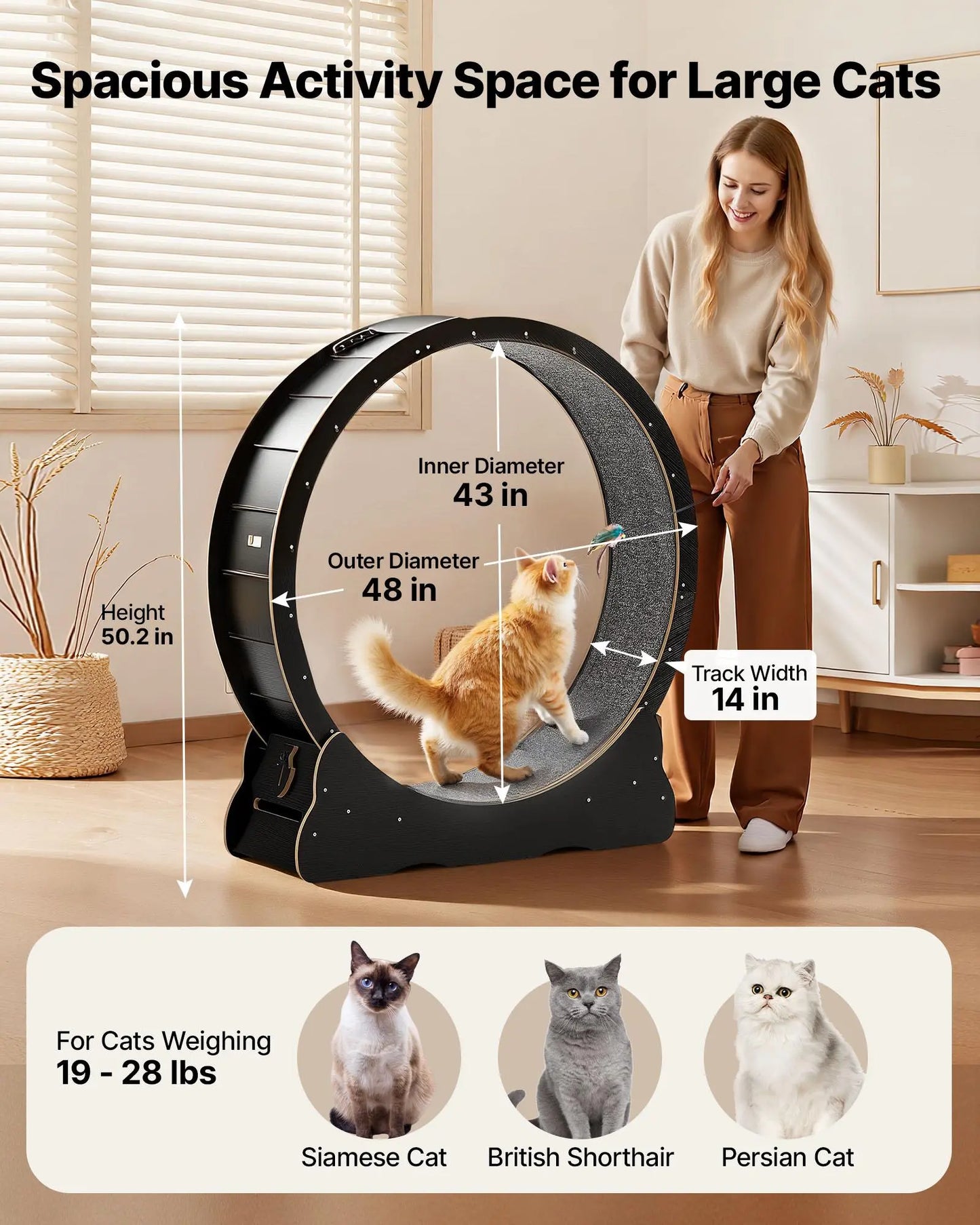 Vevor 48-Inch Wooden Cat Exercise Wheel - Indoor Treadmill for Cats Up to 28 lbs with Carpeted Runway, Locking Mechanism, and Quiet Operation for Pet Fitness and Health, Black